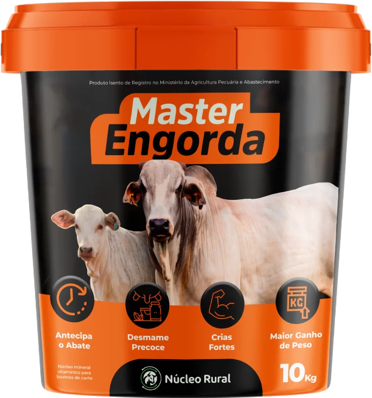Suplemento para gado de corte Master Engorda da Núcleo Rural promovendo ganho de peso eficiente em bovinos.