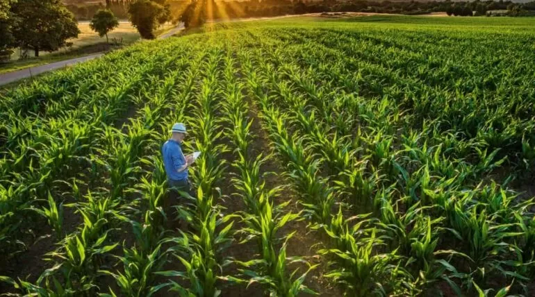 Tecnologia no Campo ao Entardecer